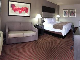 Best Western Deming Southwest Inn Room photo